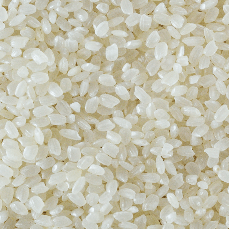 Organic Japonica White Rice (Tarabas White)